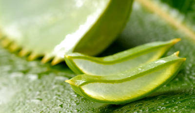 Aloe Vera Forever Living